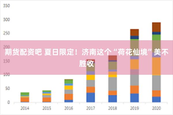 期货配资吧 夏日限定！济南这个“荷花仙境”美不胜收