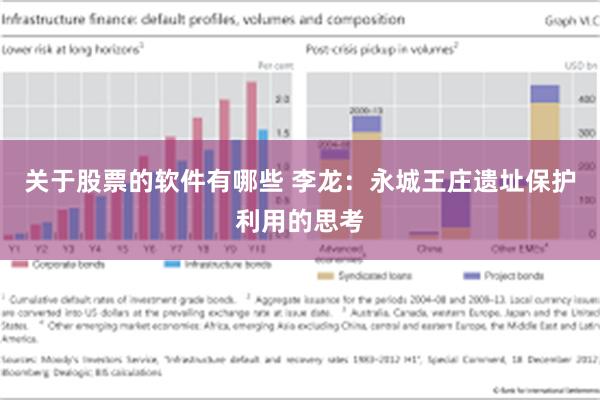 关于股票的软件有哪些 李龙：永城王庄遗址保护利用的思考