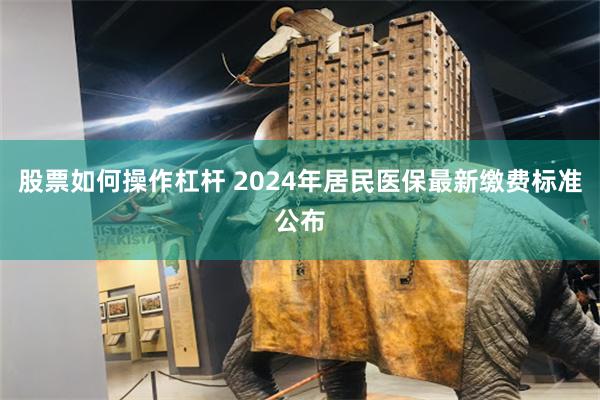 股票如何操作杠杆 2024年居民医保最新缴费标准公布