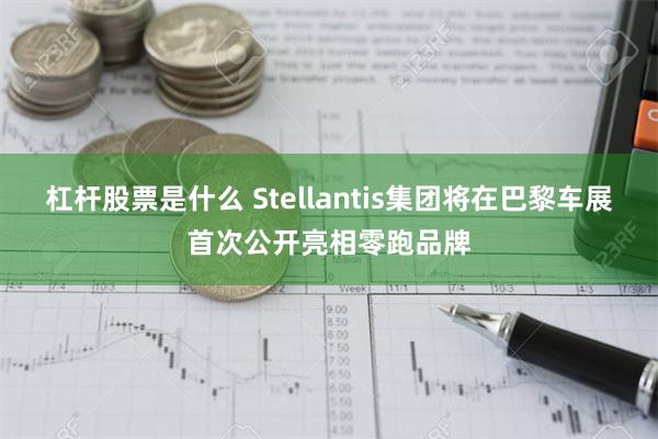 杠杆股票是什么 Stellantis集团将在巴黎车展首次公开亮相零跑品牌