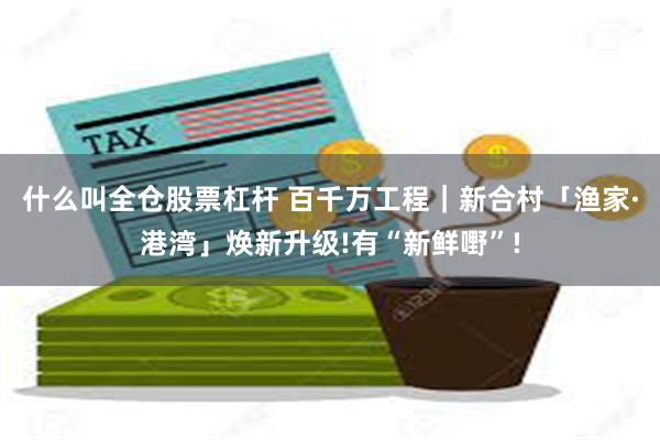 什么叫全仓股票杠杆 百千万工程｜新合村「渔家·港湾」焕新升级!有“新鲜嘢”!