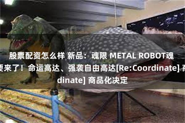 股票配资怎么样 新品：魂限 METAL ROBOT魂 传说高达要来了！命运高达、强袭自由高达[Re:Coordinate] 商品化决定