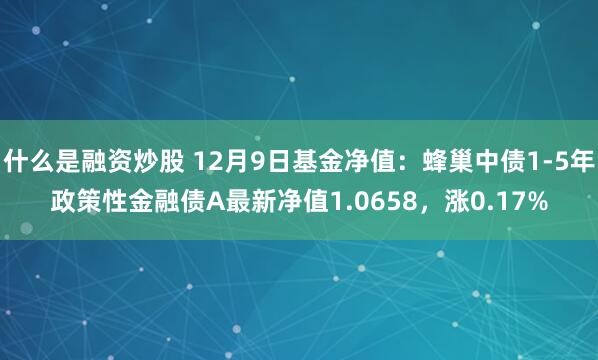 什么是融资炒股 12月9日基金净值：蜂巢中债1-5年政策性金融债A最新净值1.0658，涨0.17%