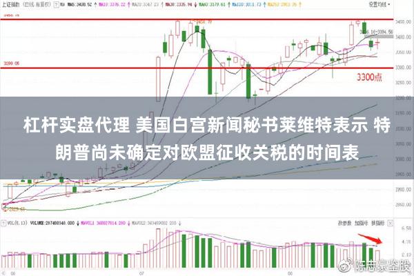 杠杆实盘代理 美国白宫新闻秘书莱维特表示 特朗普尚未确定对欧盟征收关税的时间表