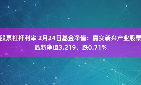 股票杠杆利率 2月24日基金净值：嘉实新兴产业股票最新净值3.219，跌0.71%