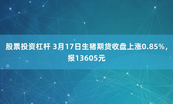 股票投资杠杆 3月17日生猪期货收盘上涨0.85%，报13605元